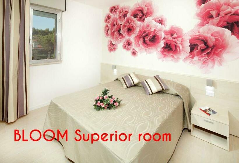 Standard Room, Alex