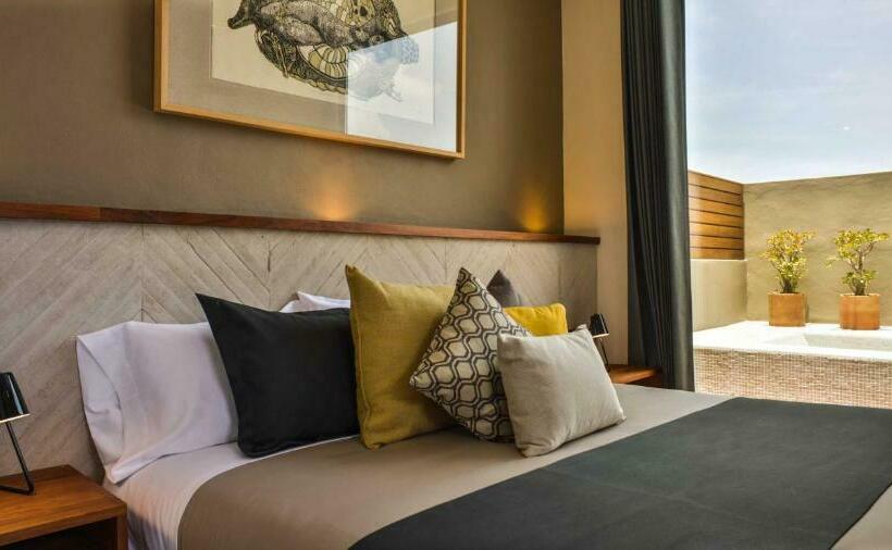 Люкс с гидромассажем, Criol