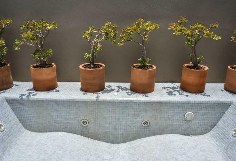 Люкс с гидромассажем, Criol