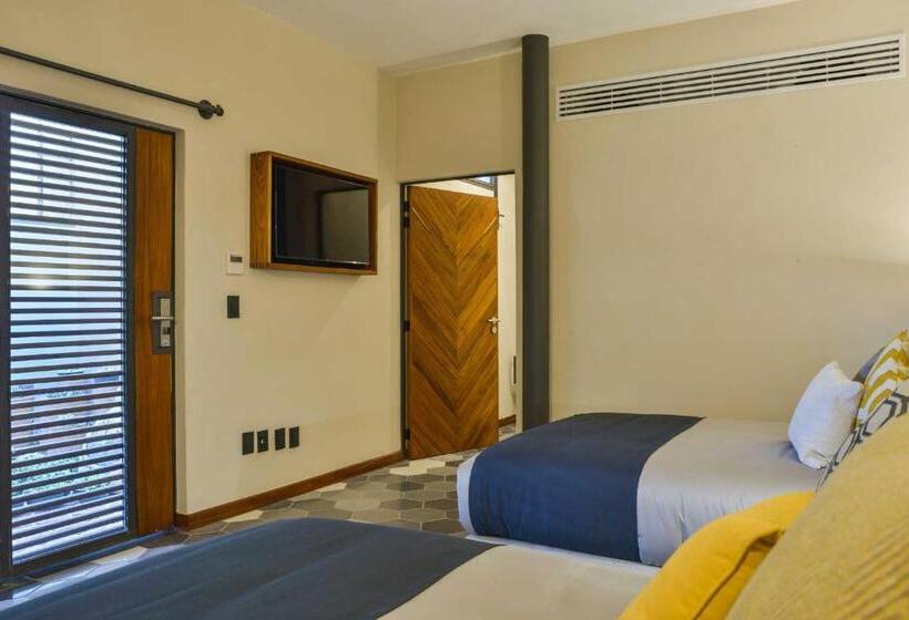 Номер Superior, Criol