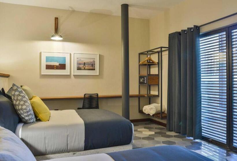 Номер Superior, Criol