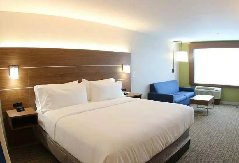 キングサイズベッドのスイートルーム, Holiday Inn Express & Suites   Detroit Northwest   Livonia, An Ihg