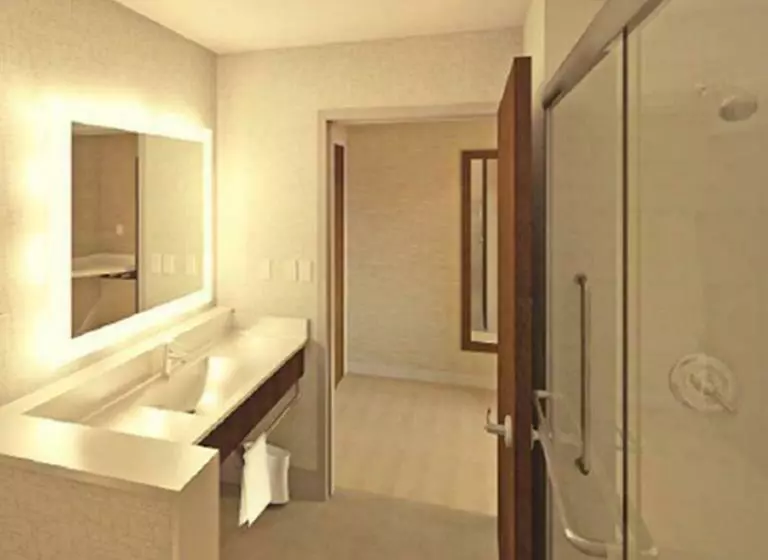 スタンダードルーム, Holiday Inn Express & Suites   Detroit Northwest   Livonia, An Ihg