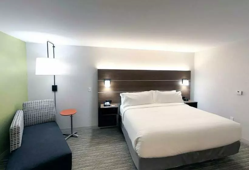 キングサイズベッドのエクゼクティブルーム, Holiday Inn Express & Suites   Detroit Northwest   Livonia, An Ihg