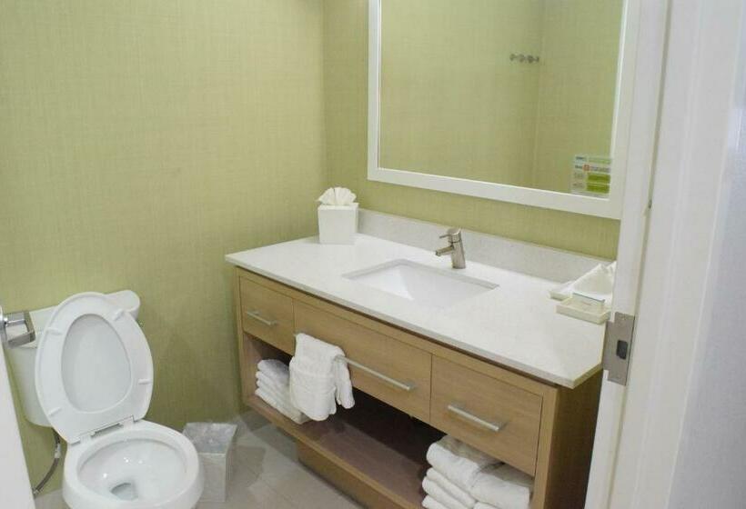 إستوديو قياسى, Home2 Suites By Hilton Shenandoah The Woodlands