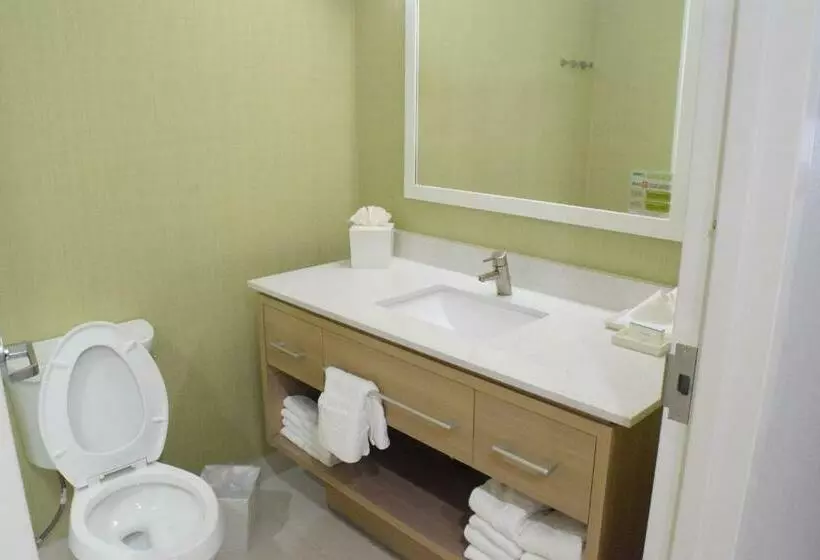 スタンダードスタジオ, Home2 Suites By Hilton Shenandoah The Woodlands