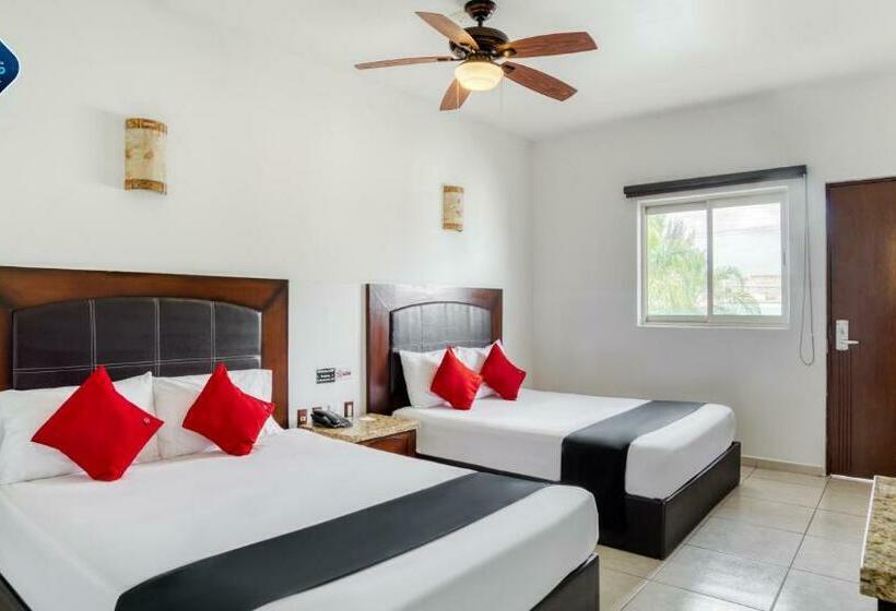 חדר סופריור, Maioris Guadalajara