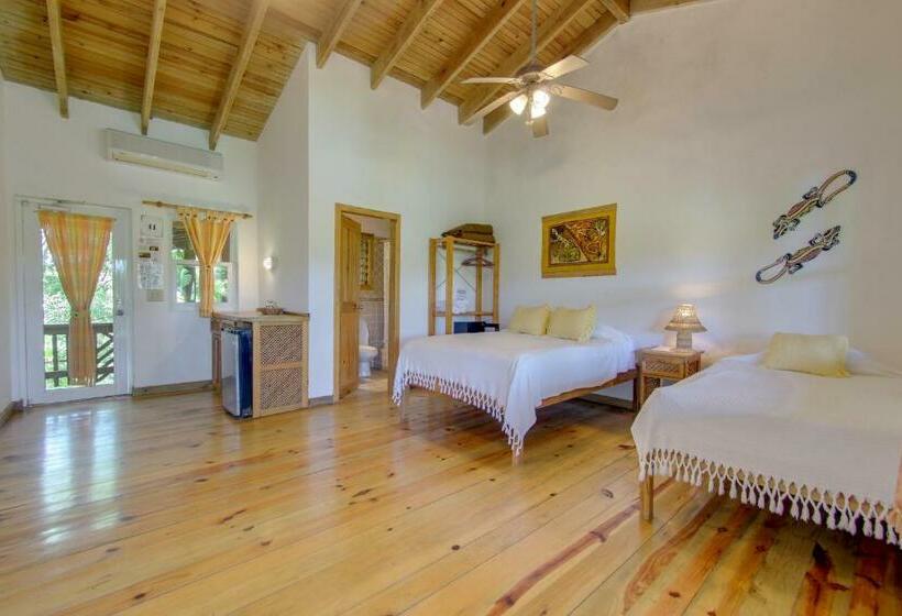 استودیوی استاندارد با چشم‌انداز دریا, Posada Las Orquideas