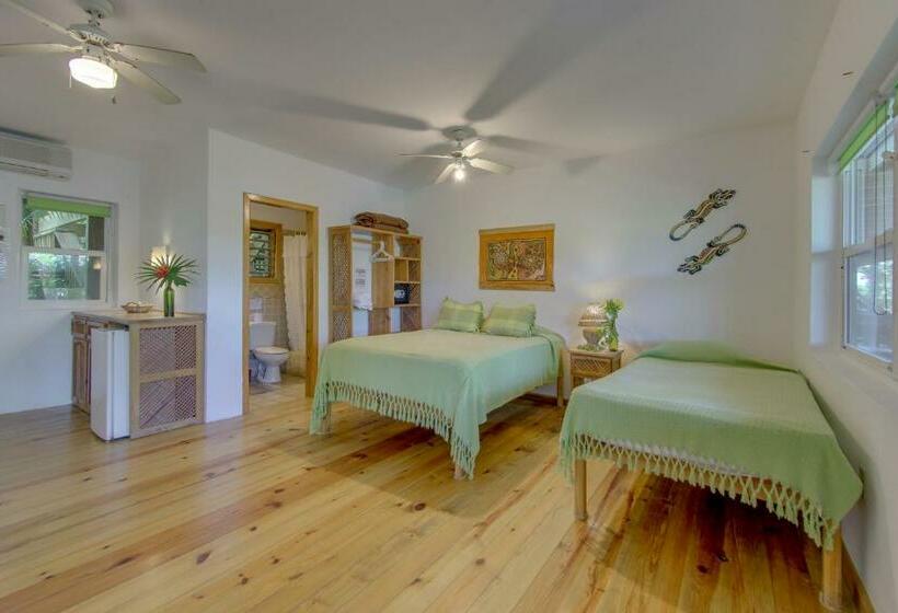 اتاق استاندارد با چشم‌انداز دریا, Posada Las Orquideas