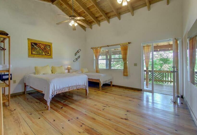 استودیوی استاندارد با چشم‌انداز دریا, Posada Las Orquideas