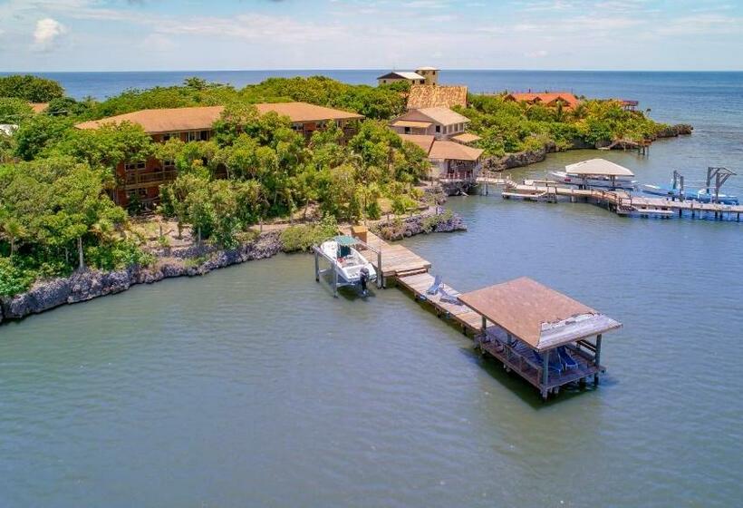 اتاق استاندارد با چشم‌انداز دریا, Posada Las Orquideas