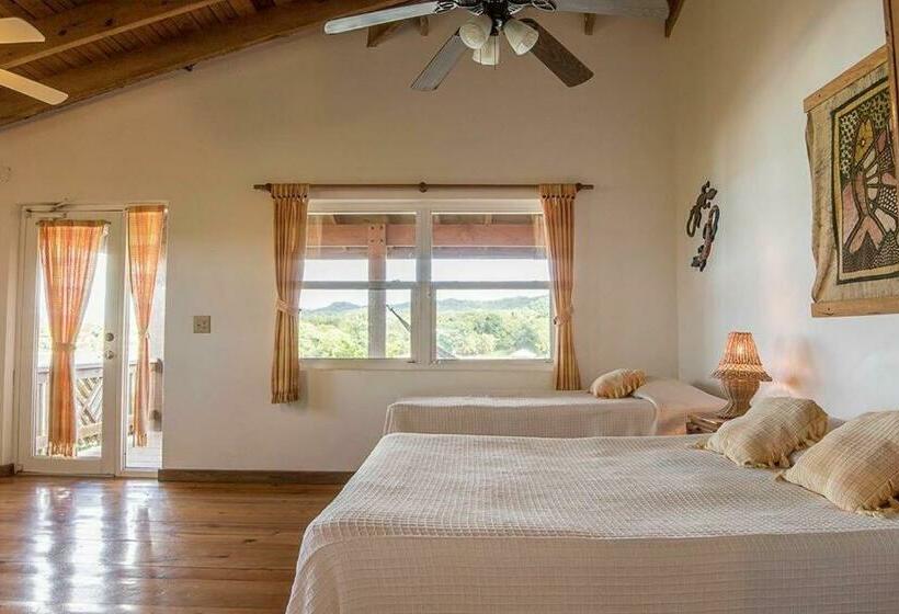 استودیوی استاندارد با چشم‌انداز دریا, Posada Las Orquideas