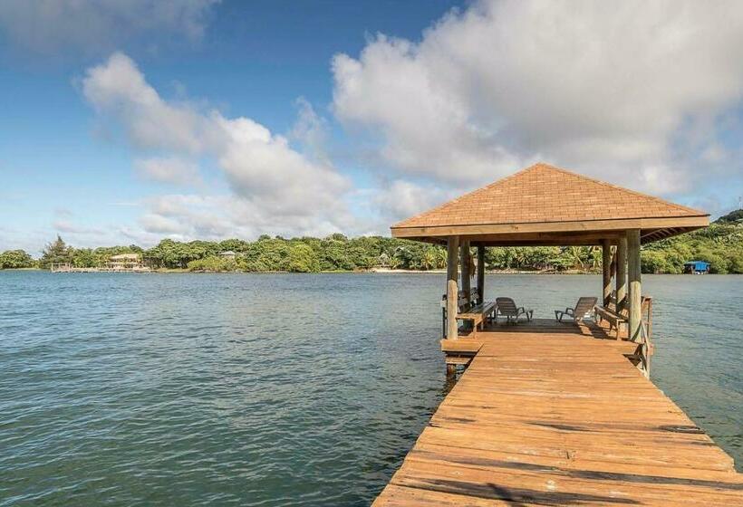 استودیوی استاندارد با چشم‌انداز دریا, Posada Las Orquideas