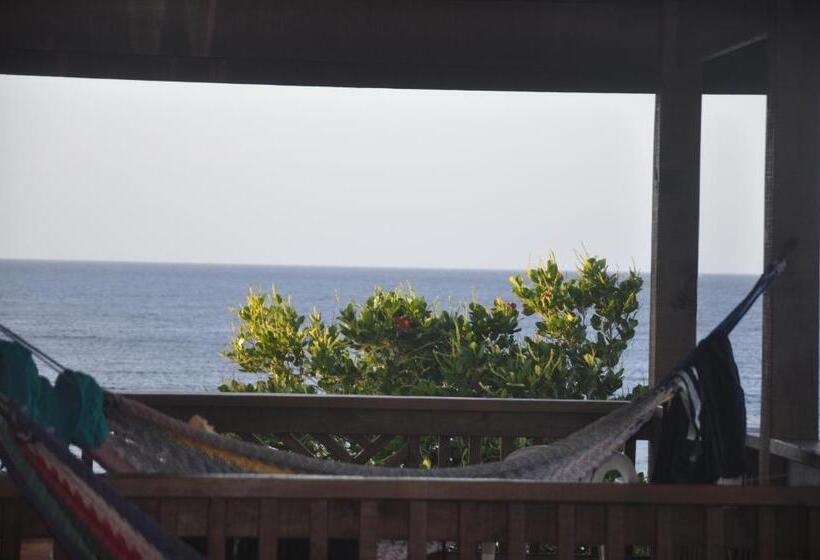 استودیو لوکس با چشم‌انداز دریا, Posada Las Orquideas