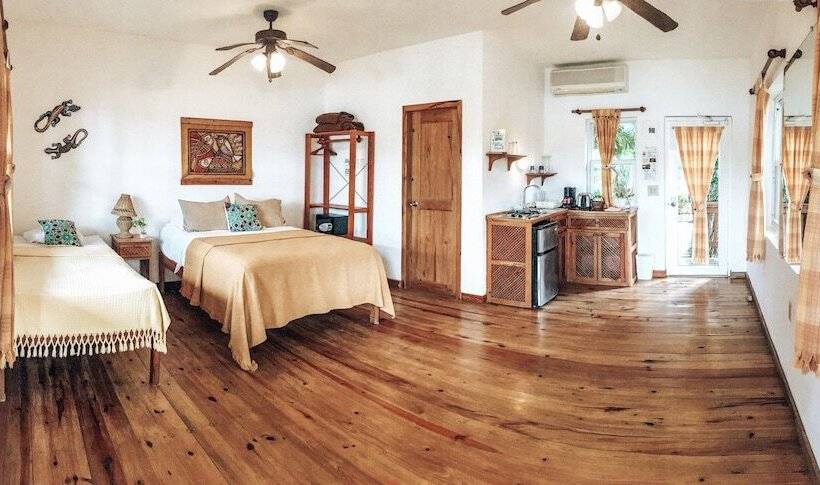 استودیوی استاندارد با چشم‌انداز دریا, Posada Las Orquideas