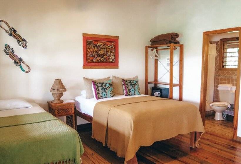 استودیوی استاندارد با چشم‌انداز دریا, Posada Las Orquideas