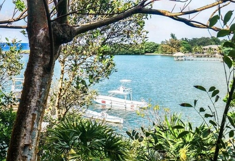 اتاق لوکس با چشم‌انداز دریا, Posada Las Orquideas