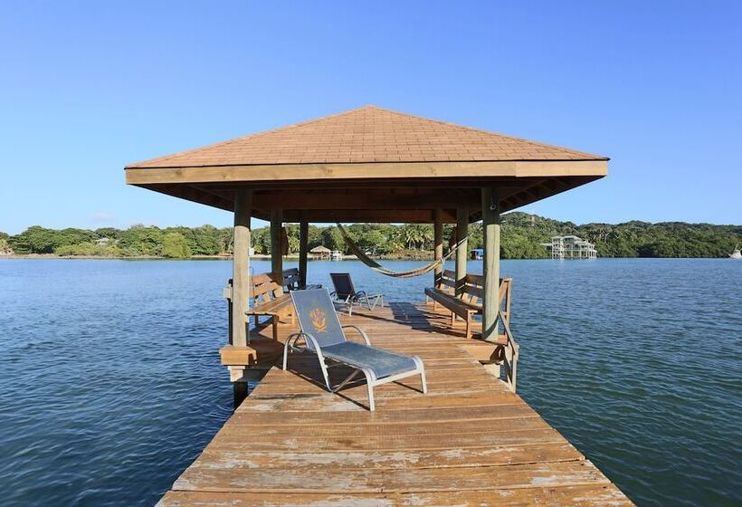 استودیو لوکس با چشم‌انداز دریا, Posada Las Orquideas