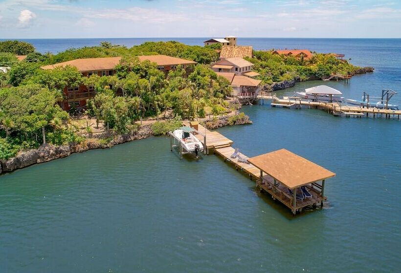 استودیو لوکس با چشم‌انداز دریا, Posada Las Orquideas