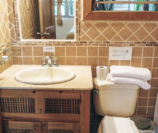 استودیو لوکس با چشم‌انداز دریا, Posada Las Orquideas