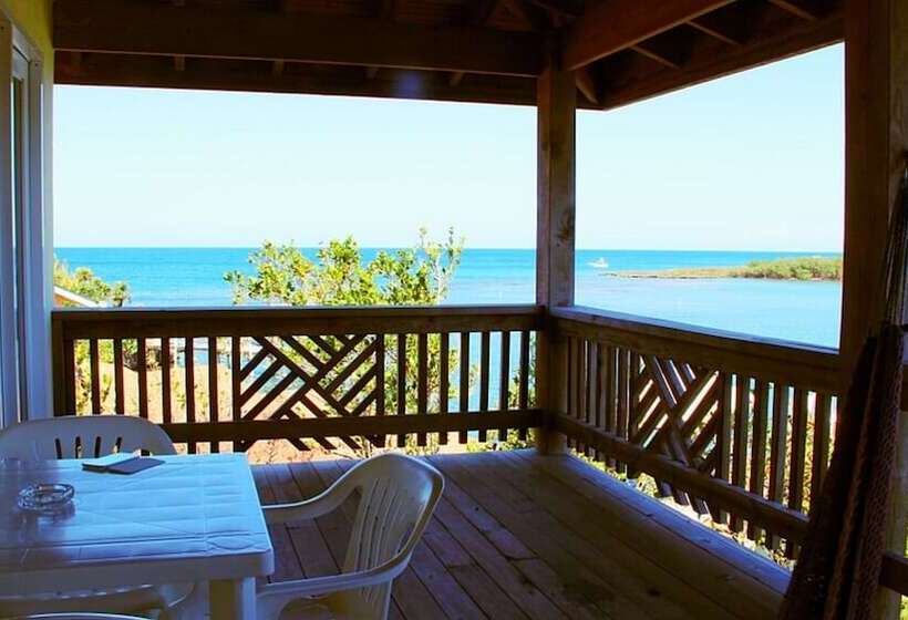 استودیو لوکس با چشم‌انداز دریا, Posada Las Orquideas