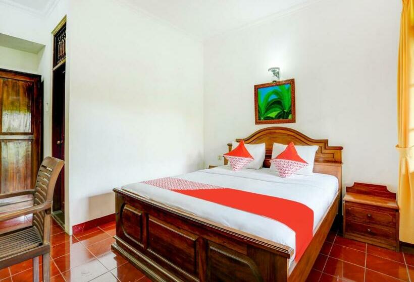 Номер Стандарт, Puri Mango