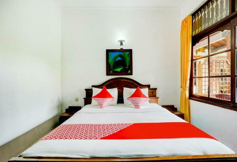 Номер Стандарт, Puri Mango