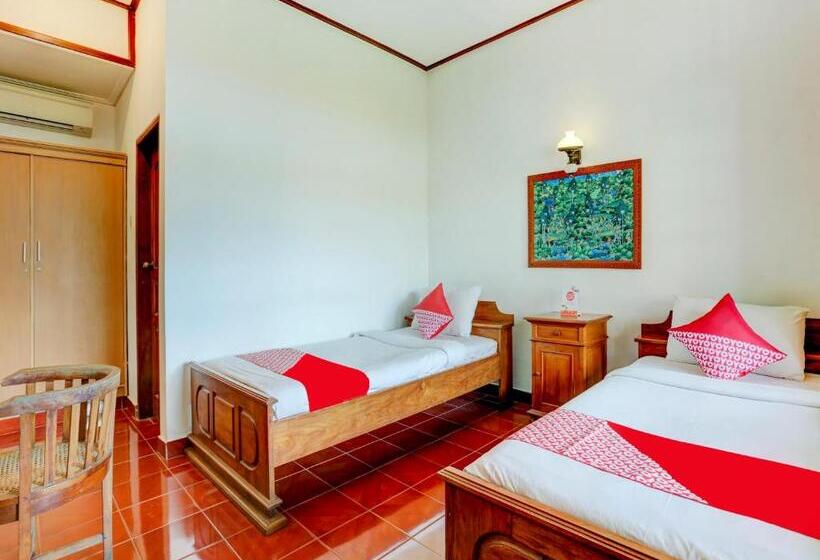 Номер Стандарт, Puri Mango