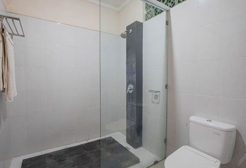 Номер Стандарт, Puri Mango