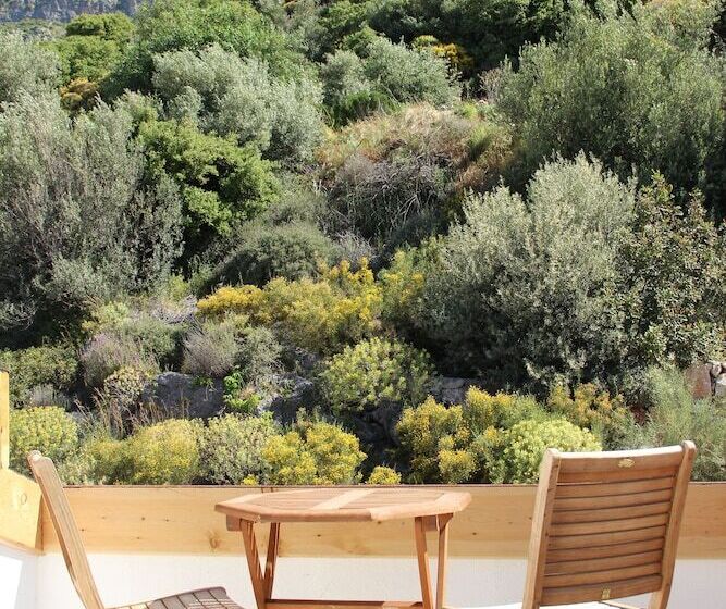 Camera Standard, Lantana Aparts