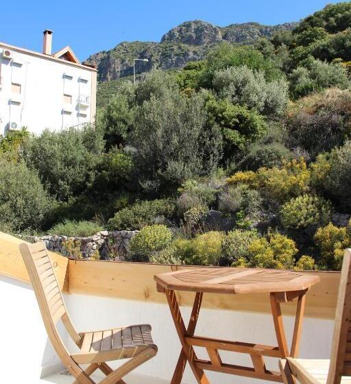 Camera Standard, Lantana Aparts