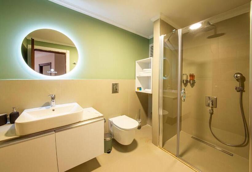 Appartamento Economy 1 Camera da Letto, Lantana Aparts