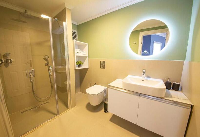 Appartamento Economy 1 Camera da Letto, Lantana Aparts