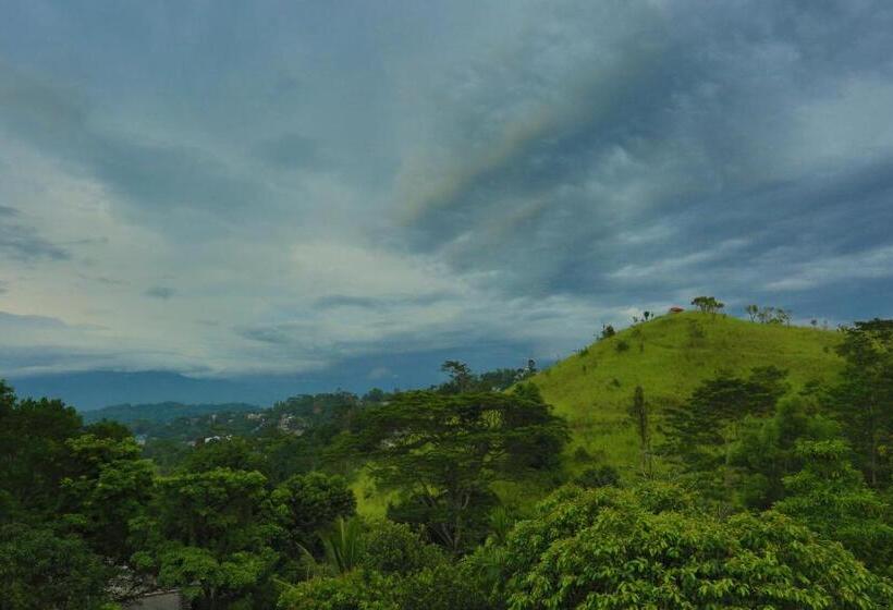 Habitación Deluxe, Hanthana House