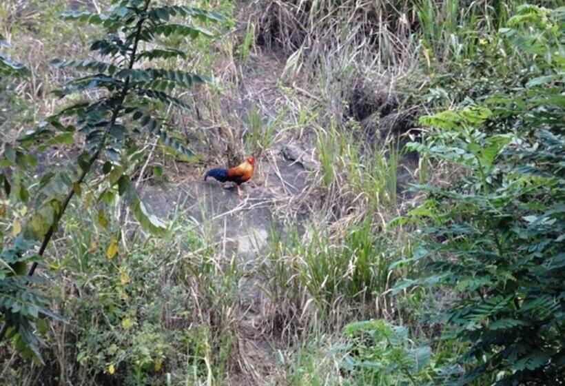 Habitación Deluxe, Hanthana House