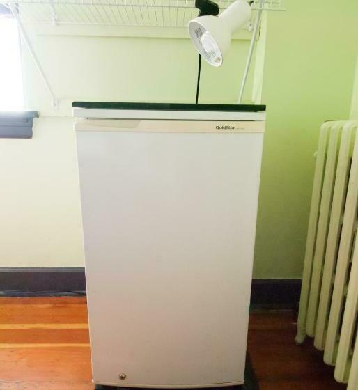 Номер Базовый Совметсный Санузел, Ocean Island Inn | Backpackers | Suites