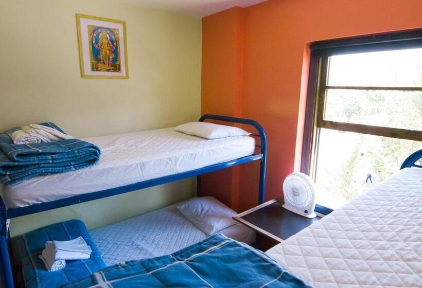 浴室共有ファミリールーム, Ocean Island Inn | Backpackers | Suites