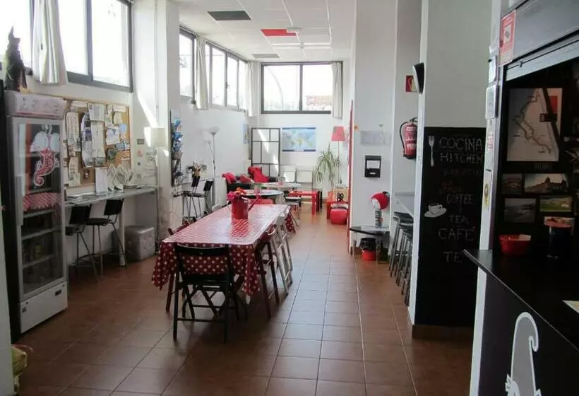 تختخواب در اتاق مشترک, Bilbao Akelarre Hostel