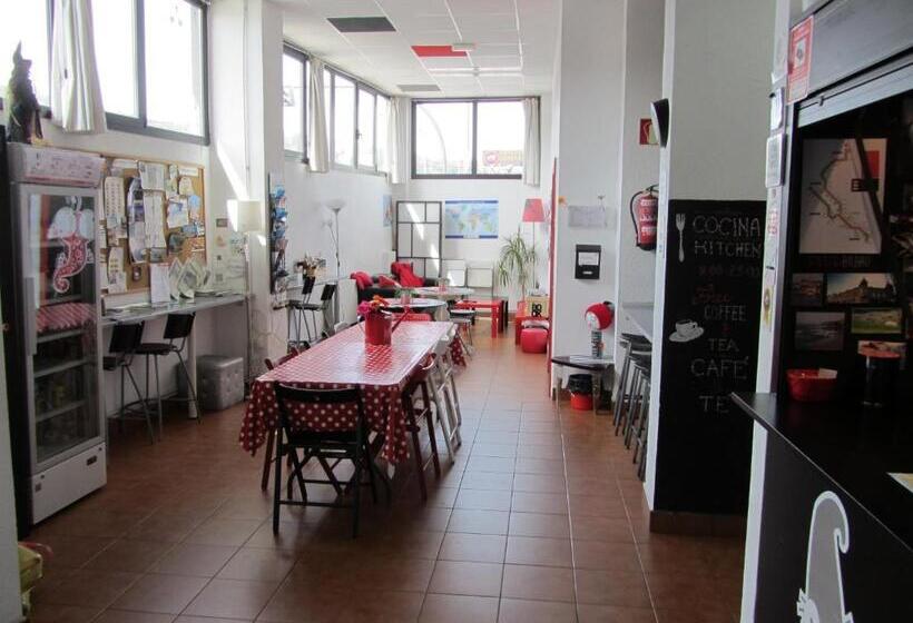 חדר אקונומי, Bilbao Akelarre Hostel
