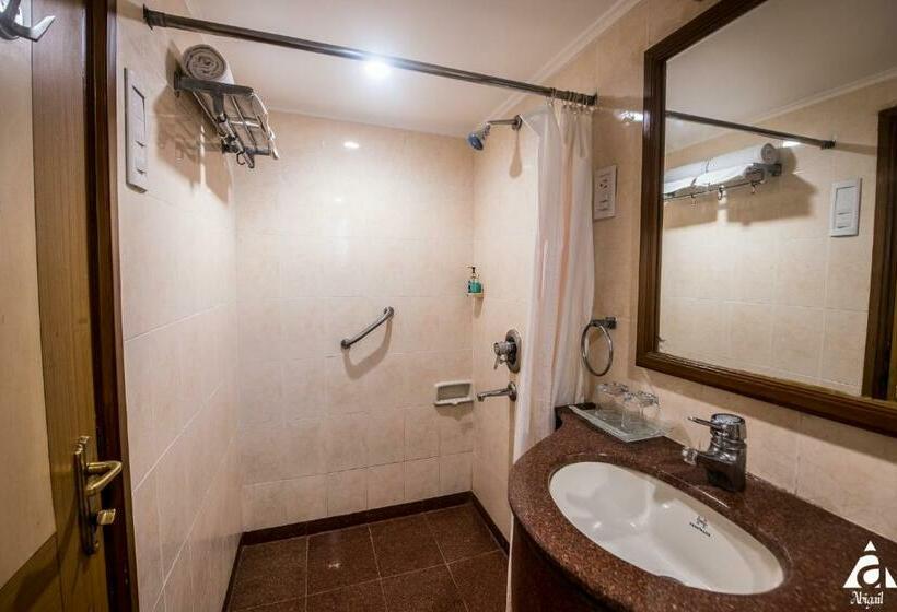 غرفة ديلوكس, Abigail Goradia S