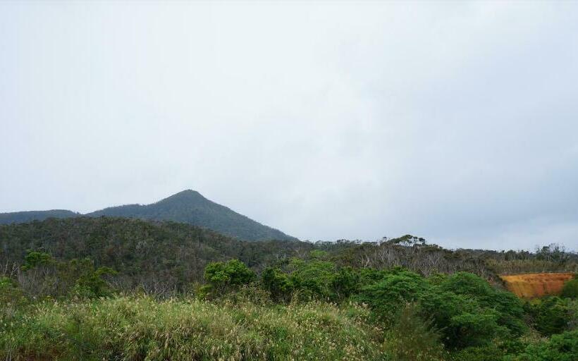 غرفة قياسية, Ada Garden Hotel Okinawa