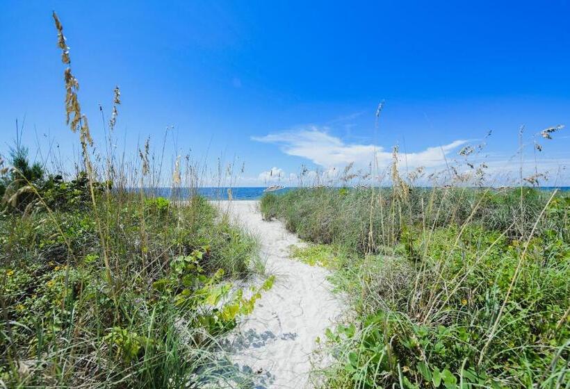 Standard Studio King Bed, Casey Key Resorts  Beachfront