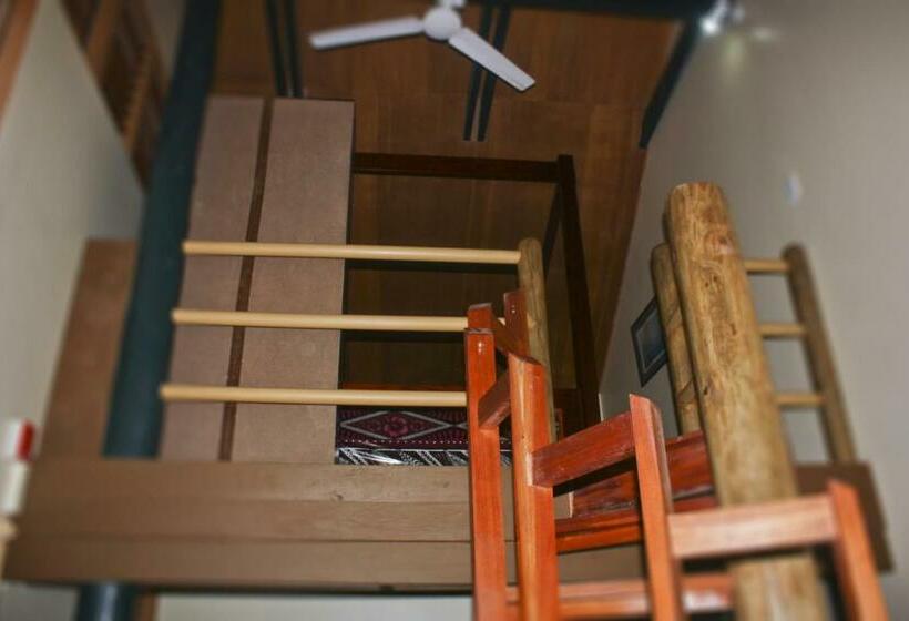 استودیوی استاندارد, Rainforest Eco Lodge