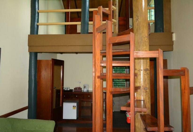 استودیوی استاندارد, Rainforest Eco Lodge