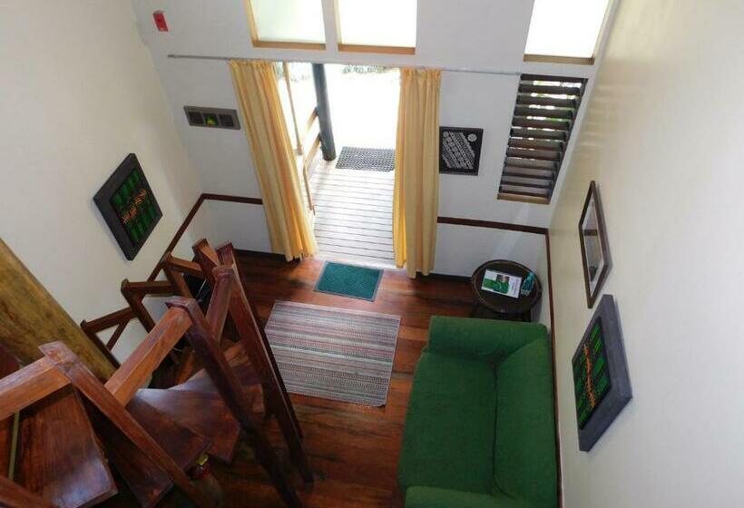 استودیوی استاندارد, Rainforest Eco Lodge