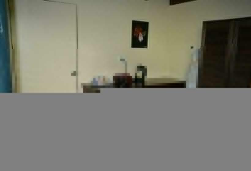 استودیوی استاندارد, Rainforest Eco Lodge