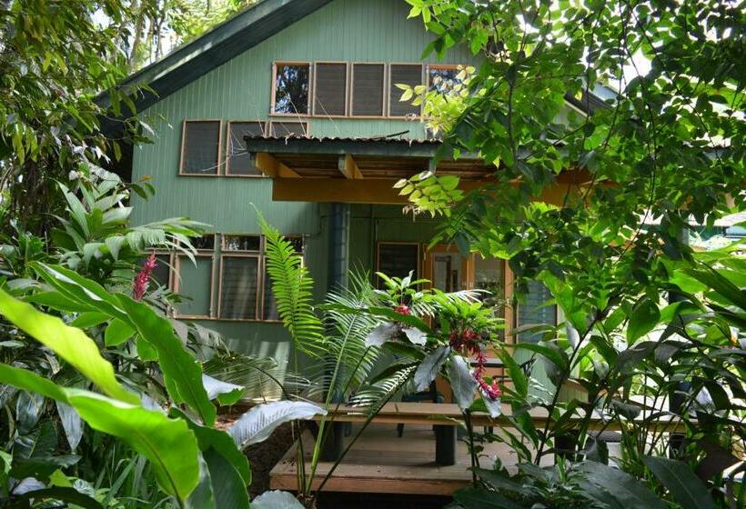 استودیوی استاندارد, Rainforest Eco Lodge