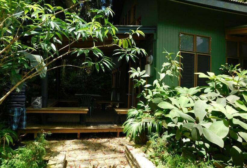 استودیوی استاندارد, Rainforest Eco Lodge