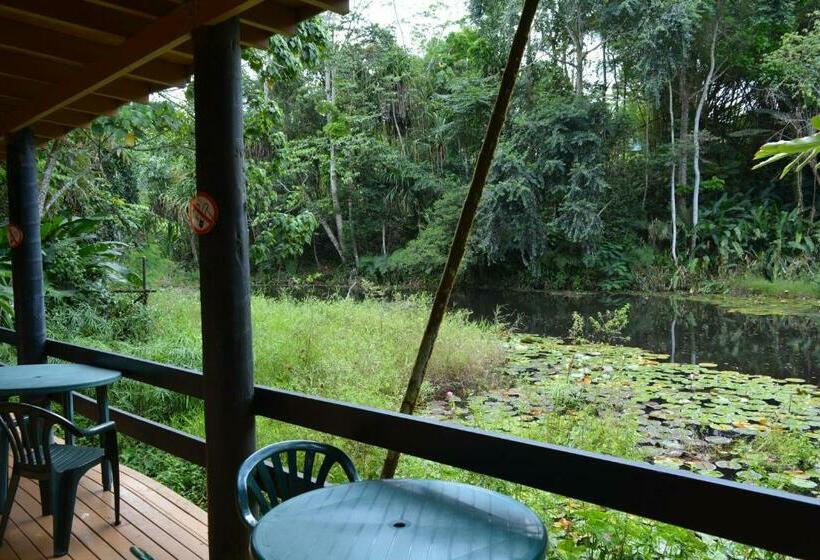 اتاق اکونومی, Rainforest Eco Lodge