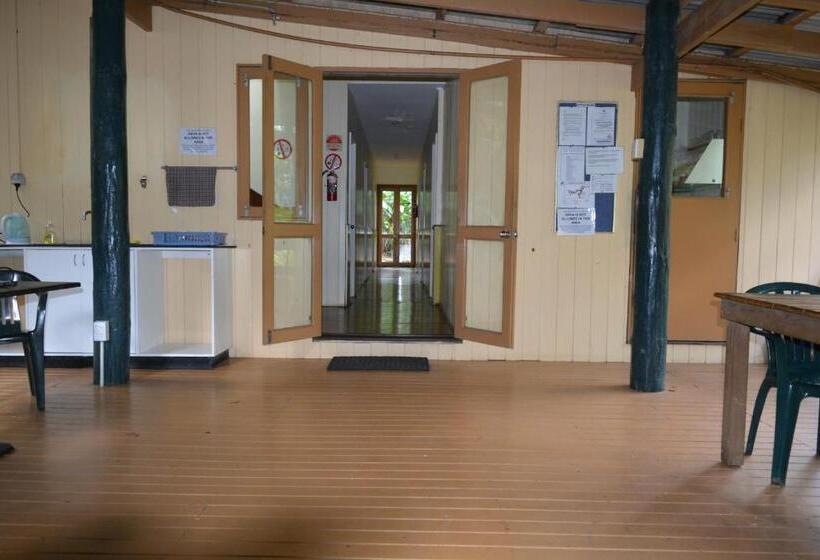 이코노미 룸, Rainforest Eco Lodge